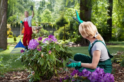 Gardeners Fitzrovia team caring for a refined urban garden