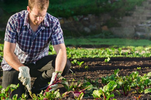 Professional garden services terms and conditions introduction