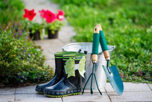 Professional garden clearance in a Fitzrovia outdoor space