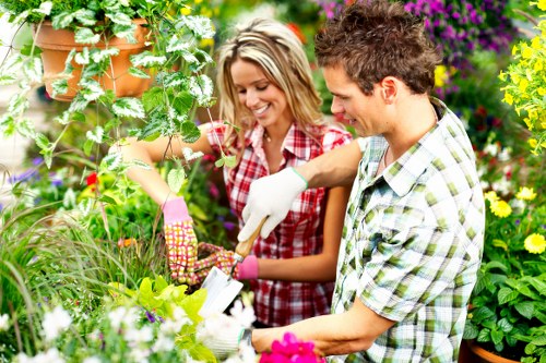 Seasonal garden care for a compact Fitzrovia courtyard