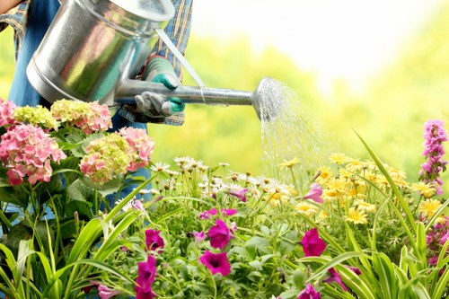 Professional garden maintenance in Fitzrovia with layered borders