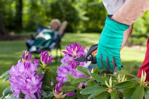 Overgrown plants and waste being cleared from a city garden