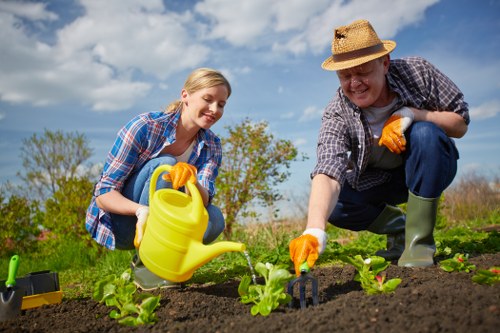 Seasonal lawn mowing care for a Fitzrovia property