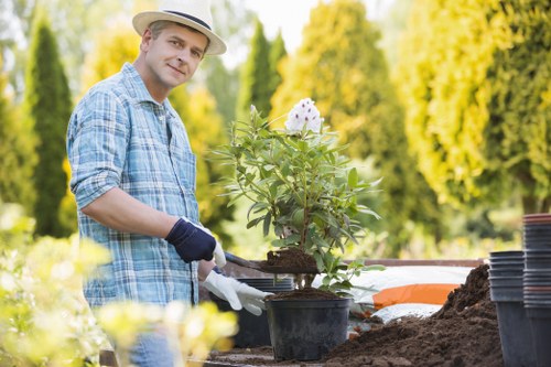 Professional lawn maintenance for a small central London garden in Fitzrovia