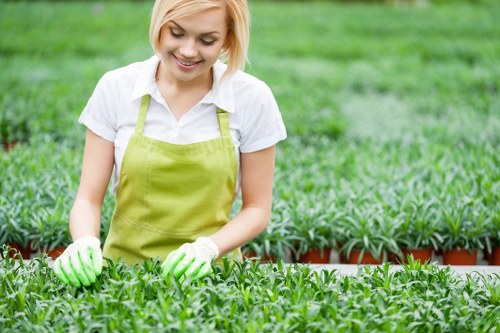 Complaint investigation for garden maintenance