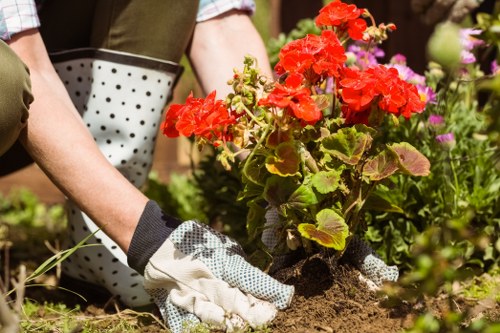 Free quote for a busy Fitzrovia property garden job