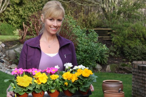 Payment and cancellation terms for garden maintenance