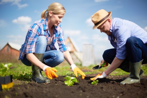 Sustainable gardening and recycling practices for Fitzrovia properties