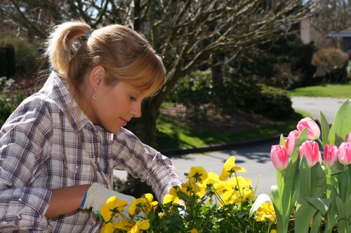 Waste handling and liability terms for gardening services