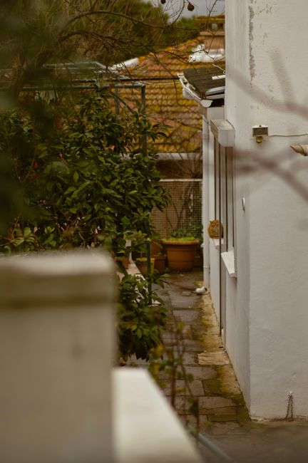 Goodge Street Fitzrovia gardeners access guide for narrow gardens